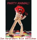 [bild=(pic_163.jpg)]