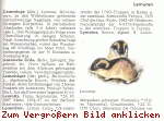 [bild=lemming(pic_17.jpg)]