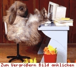 [bild=osterhase(pic_44.jpg)]